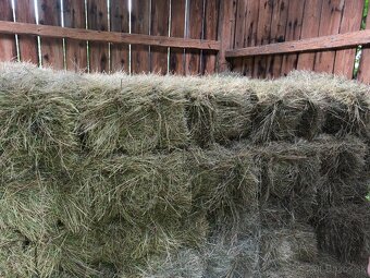 Balíkované seno - 2