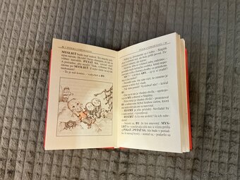 ŠTÚPLIK A VYBRANÉ SLOVÁ (Renáta Bočkayová) - 2