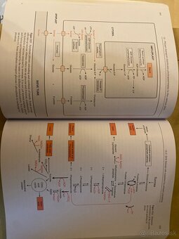 Plant biochemistry - 2