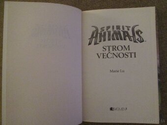 STROM  VEČNOSTI - 2