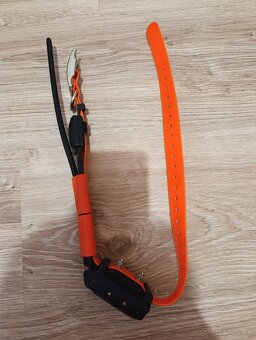 Dogtrace x30t - 2