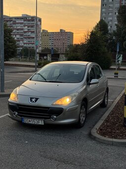 Predam Peugeot 307 - 2