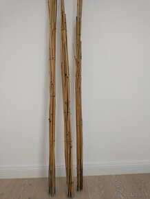 Bambusove tyce - 2