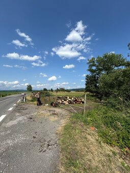 Údržba zelene - 2