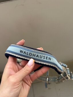 Waldhausen ohlavka - 2
