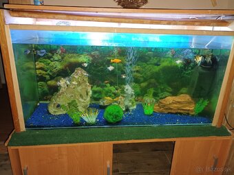 Akvariu - 2