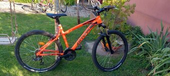 Dámsky bicykel - 2