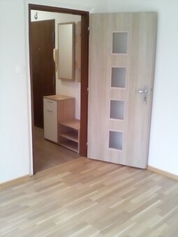 NEZARIADENY 1 izbový byt na prenájom dlhodobo - 2