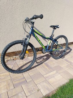 CTM Berry 2.0 24 - 2