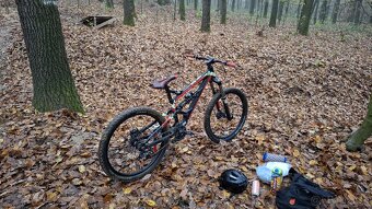 Bergamont big air 9.0 - 2