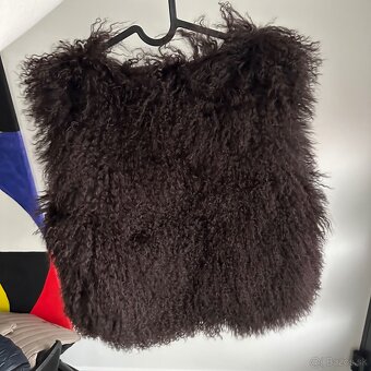 Vesta z mongolskej ovce - 2