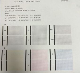 Canon ImagePROGRAF TM-300 - 2