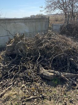 Darujem drevo za odvoz - Paňovce - 2