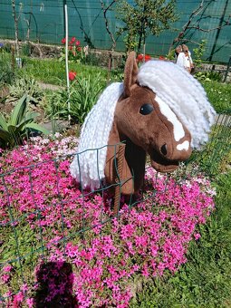 Hobby horse - 2