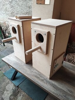 Búdka, búdky , papagáj, Alexander - 2