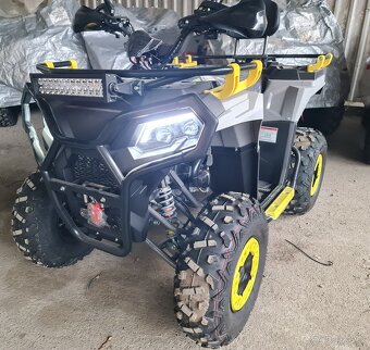 Ranger 300RR - 2