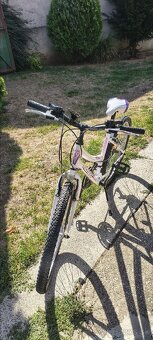 Dámsky bicykel - 2