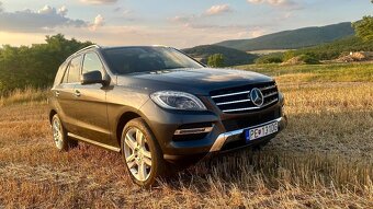Mercedes ML350 BLUETEC 4MATIC - 2