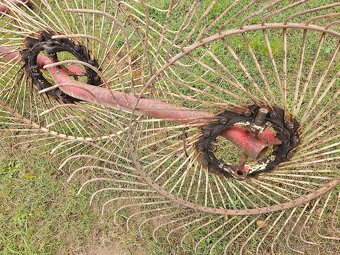 Slniečková hrabačka - 2