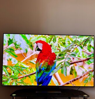 65” OLED 4K SAMSUNG QE65S92C v záruke ako nový - 2
