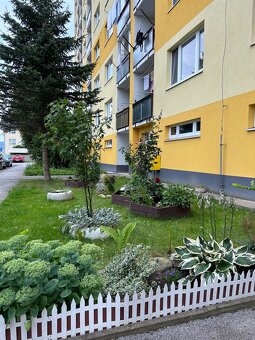 -NAJLACNEJŠÍ--3i BYT PO REKONŠTRUKCII, BALKÓN, BREZNO MPČĽ - 2