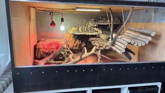 Terarium pre agamy a iné - 2