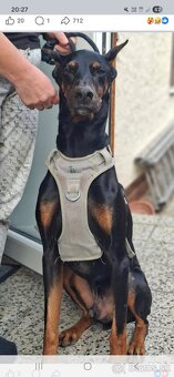 Hľadáme nový domov - 2