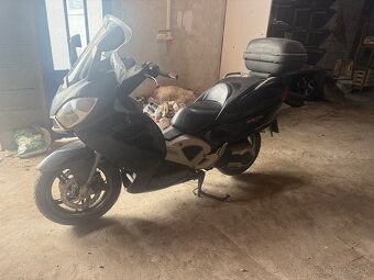 Predam MALAGUTI SPIDER MAX 500 - 2