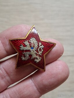 Čapicový odznak s levom - 2
