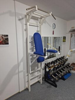 Posilovňa DAFE, Franka Sport - 2