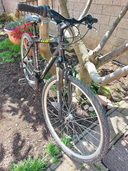 Bicykel Alpina Eco C10 - 2