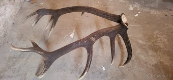 Jelenia parka.14 torak.zhody.parohy - 2