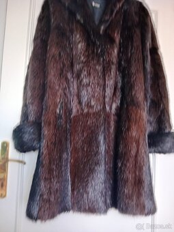 Kožuch (nutria) - 2