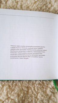 Kamil Peteraj Čo bolí to prebolí - 2