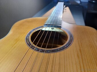 GEAKE JD12R guitar cutaway - 2