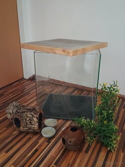 Gekon s terariom - 2