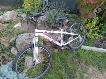 Vedora mad speed - 2