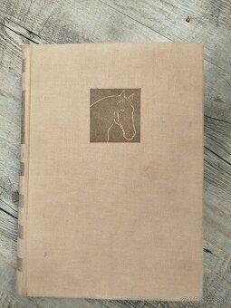 Specialni zootechnika- Chov koni - 2