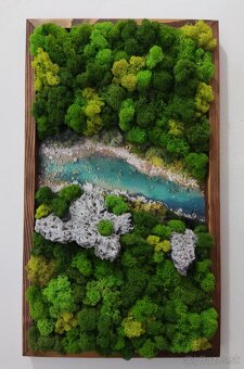 Machový obraz 54x32 - 2