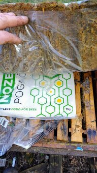 Včely rámikova miera B - 2