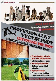 PROFESIONÁLNY VYCVIK PSOV A UBYTOVANIE - 2