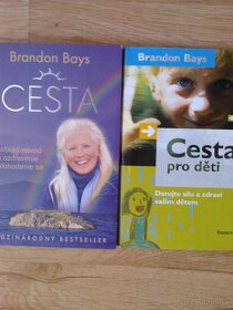 Predám knihy od Brandon Bays - 2