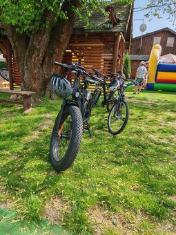 Elektrobicykel Dyu king 750 - 2
