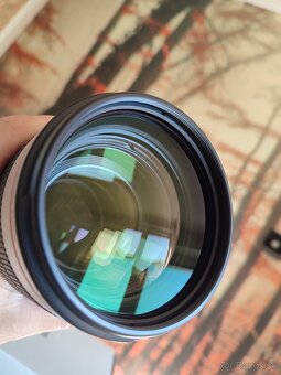 Canon EF 70-200mm f/2.8L IS III USM - 2