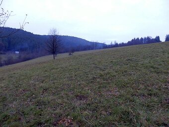 Na predaj veľký pozemok v Jasenici pri Považskej Bystrici - 2