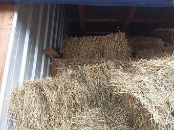 Seno malé balíky - 2