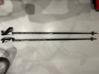 Lyžiarske palice Tecnopro - 2