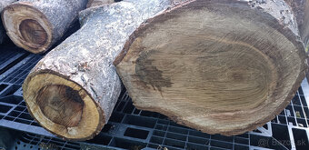 Predam orechove drevo - 2