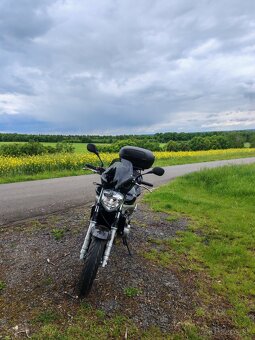 Yamaha FZ6 57kW - 2