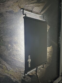 Terarium + Pagekon Riasnatý - 2